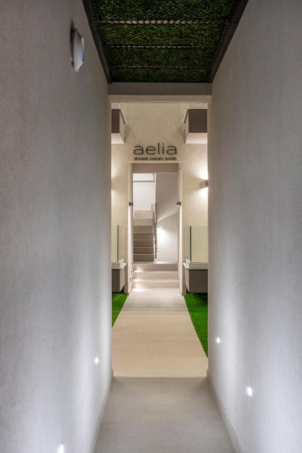 Aelia Seaside Luxury Suites Nea Karvali Ngoại thất bức ảnh